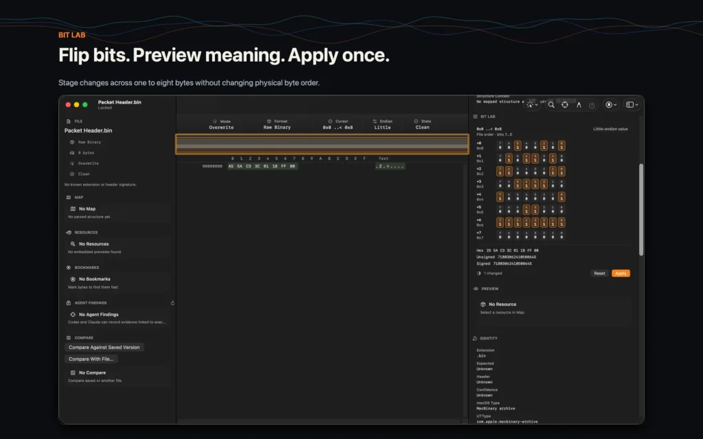 Hexgeist Bit Lab staging a small byte change with decoded values.